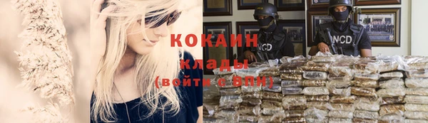 амф Вязьма