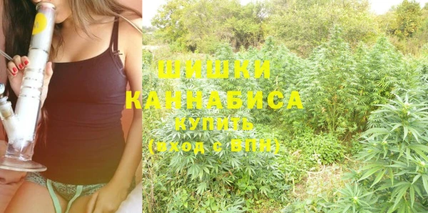 амф Вязьма