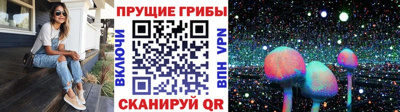 Псилоцибиновые грибы Psilocybe  гидра зеркало  Шумиха 