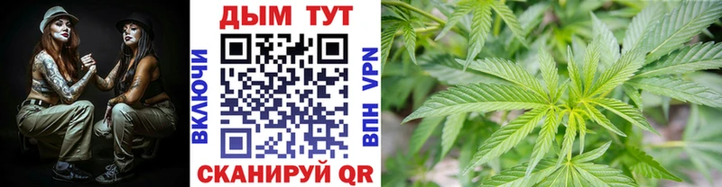 цены наркотик  Шумиха  Конопля семена 